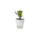 thumbnail image 1 of Macetas sin riego Macetas autoabsorbentes Macetas suculentas de orquídeas de balcón de plástico, 1 of 13
