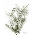 thumbnail image 2 of Koetsier, Albert 12x14 Black Ornate Wood Framed with Double Matting Museum Art Print Titled - Evergreen in Green, 2 of 4