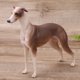 thumbnail image 5 of Simulación de decoración de galgo, modelo de galgo marrón de simulación, adornos de modelos de galgo, modelo de galgo de juguete, salida de alta intensidad, 5 of 9