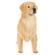 thumbnail image 3 of FELTECHELECTR Figura de Golden Retriever vívida, imitación de perro, adorno con diseño de animales, 3 of 6