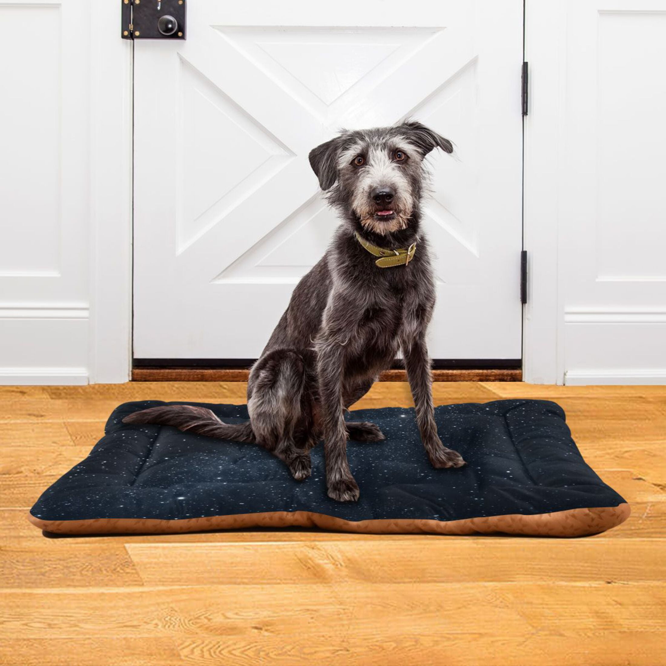 Cozy Mat Pet Bed Indoor Outdoor Warm Soft For Cat Dog Puppy(S/M) Starry Night Sky