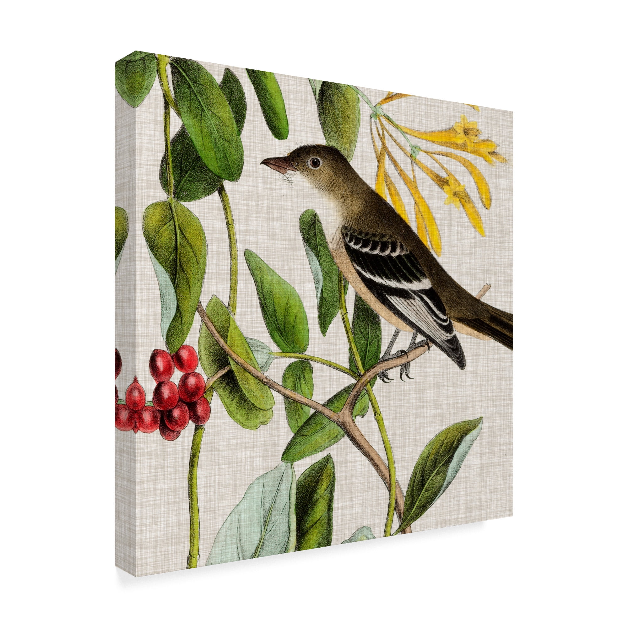 Trademark Fine Art 'Avian Crop II' Canvas Art by John James Audubon