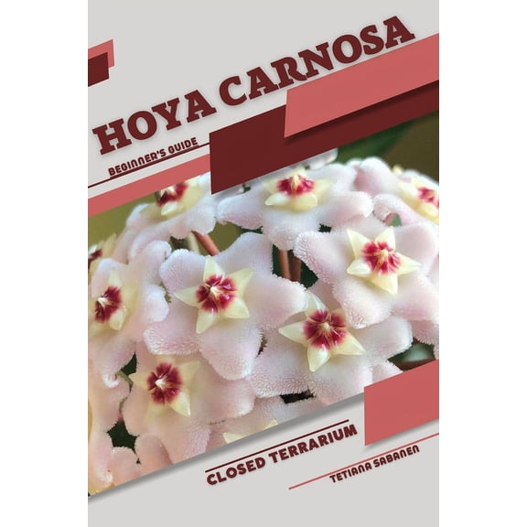 Hoya carnosa: Closed terrarium, Beginner's Guide, (Paperback)