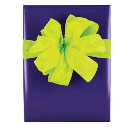 Solid Purple Elegant Specialty Gift Wrap Wrappiing Paper 24 x 15ft