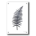 thumbnail image 1 of Epic Art 'Watercolor Black Plant I' by Seven Trees Design, Acrylic Glass Wall Art, 24"x36", 1 of 3