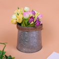thumbnail image 3 of 6x Decoración Del Cubo de La Lata Del de La Maceta Del Cubo Del Cubo Del Cinc Del Vintage Sunnimix Cubo de plantas de flores de metal, 3 of 8