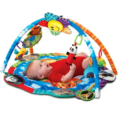 Baby Einstein Discover The World Playgym