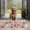 Poodle and Pioneer, variant on Shibainu and Love Door Rugs,Washable Non Slip Door Mats Indoor,Decorative Door Mats,Entry Mat Indoor for Entrance,Bedroom,Kitchen,Bathroom,17"x30"