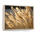 thumbnail image 2 of Designart "Golden Dreams In Tall Grass Meadows" Meadow Floater Framed Canvas Art Print, 2 of 5