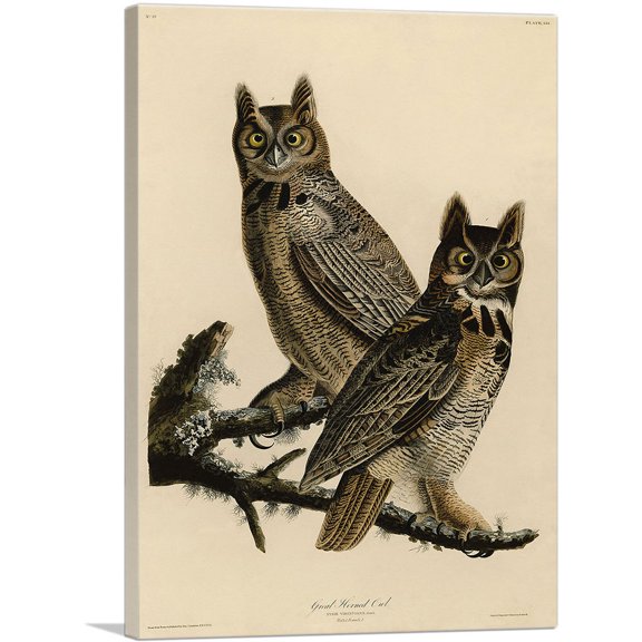ARTCANVAS Great Horned Owl Canvas Art Print by John James Audubon - Size: 26" x 18" (0.75" Deep)