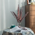 thumbnail image 2 of 10 Pcs Dried Eucalyptus Stems, Red Eucalyptus for Wedding,17'' Natural Fresh Eucalyptus Leaves Branches Hanging for Shower, 2 of 8