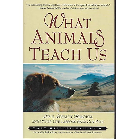 Pre-Owned What Animals Teach Us: Love, Loyalty, Heroism, and Other Life Lessons from Our Pets (Hardcover) 0761536078 9780761536079
