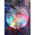 thumbnail image 1 of Evershine 5D DIY Diamond Painting Moon Full Square Diamond Embroidery Landscape Cross Stitch Mosaic Sale Home DecorationFull Square 15X20cm Gao Jinjia LED, 1 of 2