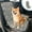 Gray Pet Cat Dog Home Toys, variant on Nsxcdh Pet Car Trunk Cargo Liner,Dog Cat Mat,Waterproof,Rear Seat Protector,Non Slip,Easy Clean,Travel Accessory