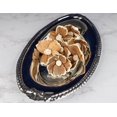 thumbnail image 3 of Sola Wood Flowers Hana Raw Two-Tone Bark Eco-friendly Flowers Perfect for Easy DIY Wedding Bouquets Home Decorations Gifts and Flower Crafting 2" Pack of 10, 3 of 4