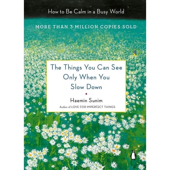 The Things You Can See Only When You Slow Down: How to Be Calm in a Busy World, (Hardcover)