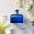 thumbnail image 3 of Perfume EDT Spray Ralph Lauren  Ralph Lauren Blue EDT Spray Dama 4.2 oz, 3 of 5