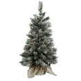 thumbnail image 1 of Vickerman 17895 - 2.5' x 17" Frosted Jackson Pine 50 Italian LED Multi-Color Lights Christmas Tree (A100132LED), 1 of 1