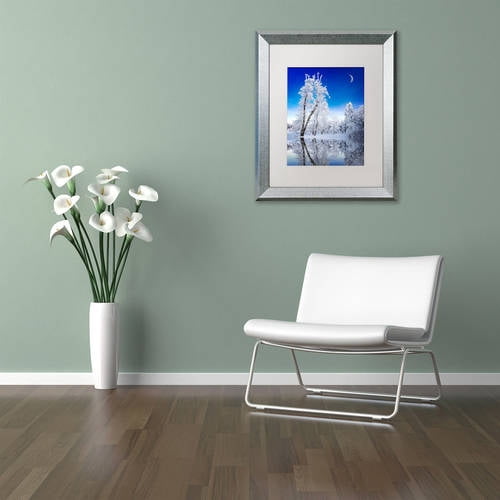 Trademark Fine Art "Emotive Ballad Canvas Art" Canvas Art by Philippe Sainte-Laudy, White Matte, Silver Frame