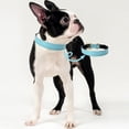 thumbnail image 3 of Collar básico clásico de cuero acolchado para mascotas, adecuado para perros de tamaño pequeño y mediano., 3 of 5