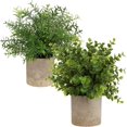 thumbnail image 1 of Simulación de plantas verdes Mini plantas verdes artificiales de plástico en macetas, arbustos falsos recortados y plantas falsas, pequeñas plantas verdes artificiales, utilizadas para la decoración, 1 of 4