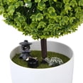 thumbnail image 3 of 3 Piezas Miniatura Jardín de Hadas Ornamento Baoblaze Tortuga Planta Decoración de Bricolaje, 3 of 7