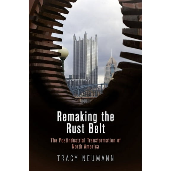 American Business, Politics, and Society Remaking the Rust Belt: The Postindustrial Transformation of North America, (Hardcover)