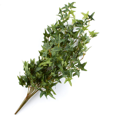 thumbnail image 4 of 2 Fake Ivy Bushes - for Floral Work and Decor - Factory Direct Craft, 4 of 5