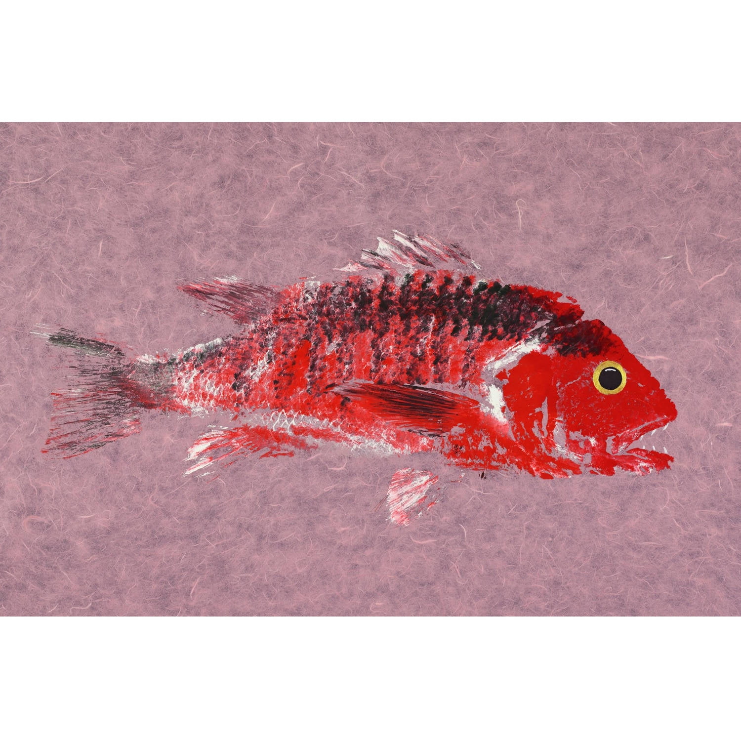 Marmont Hill "Snapper" by Warren Sellers Painting Print on Wrapped Canvas