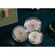 thumbnail image 2 of Pisapapeles de bola de ensueño de diente de león Bola de deseos de cristal Pisapapeles de diente de león único El regalo perfecto (9) Afortunado Sencillez, 2 of 5