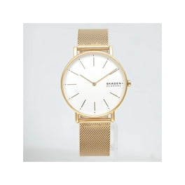 Skagen skw2582 deals