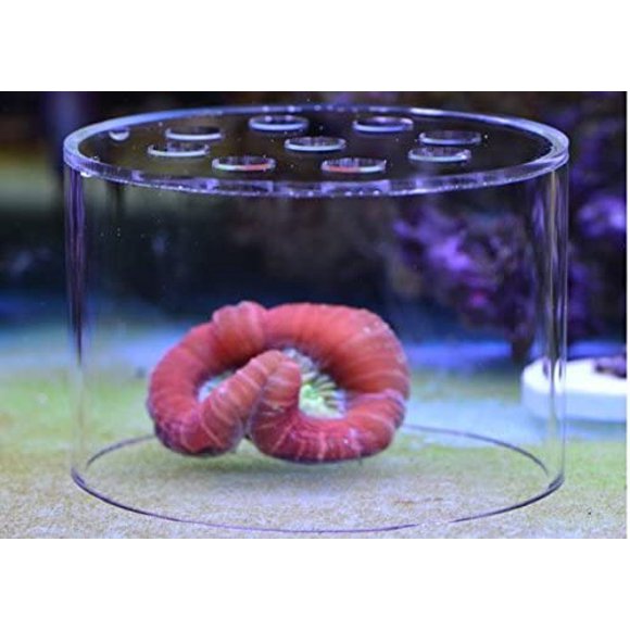 Marine Color Soft Coral Feeding Breeding Protection Cover, Protect The Coral Food not be Lost