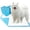 40 Count Blue, variant on Dogcator Dog Pee Pads Extra Large 30"x36", 30 Count Super Absorbent Pee Pads for Dogs, Disposable Urine Bed Pads for Doggie, Thicken XXL Puppy Pads, Piddle Pads X-Large for Indoor, Outdoor Use