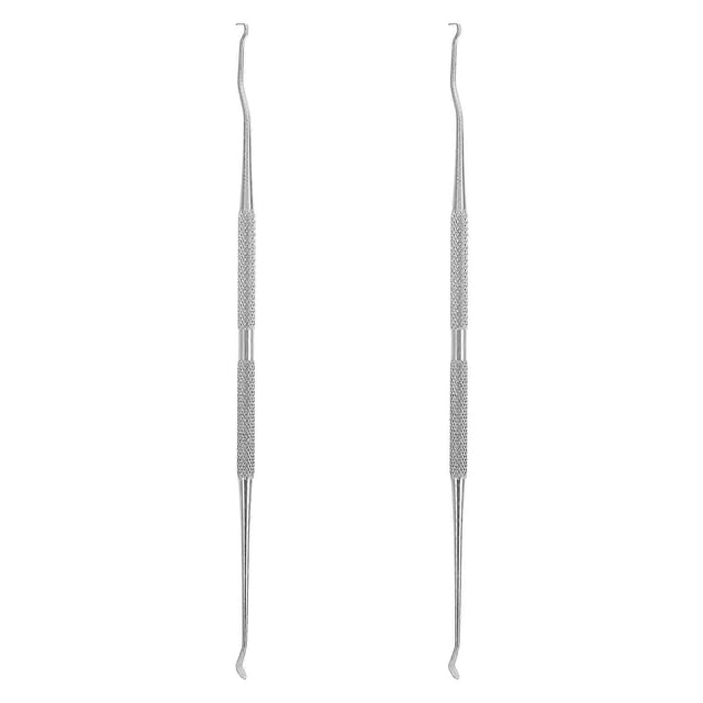 2pcs Double Head Stainless Steel Grafting Needles Dual Purpose Insect Removal Needles (Silver)