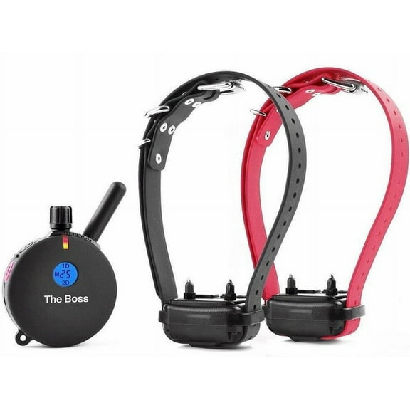 E-Collar ET-802 “The Boss” Remote Trainer E-Collar– 2-Dog - 1-Mile Range - 100 Safe Tapping Stimulation Levels, Night Light, Waterproof, Rechargeable