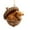 D, variant on Yyuenw Forest Animal Acorn Ornaments, Cozy Forest Christmas Ornaments for Christmas Tree, Pine Cone Decoration, Woodland Creature Figurine, Resin Hanging Ornament Home Party Decor