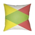 Moderne 22 x 22 x 5 Made to Order Throw Pillow