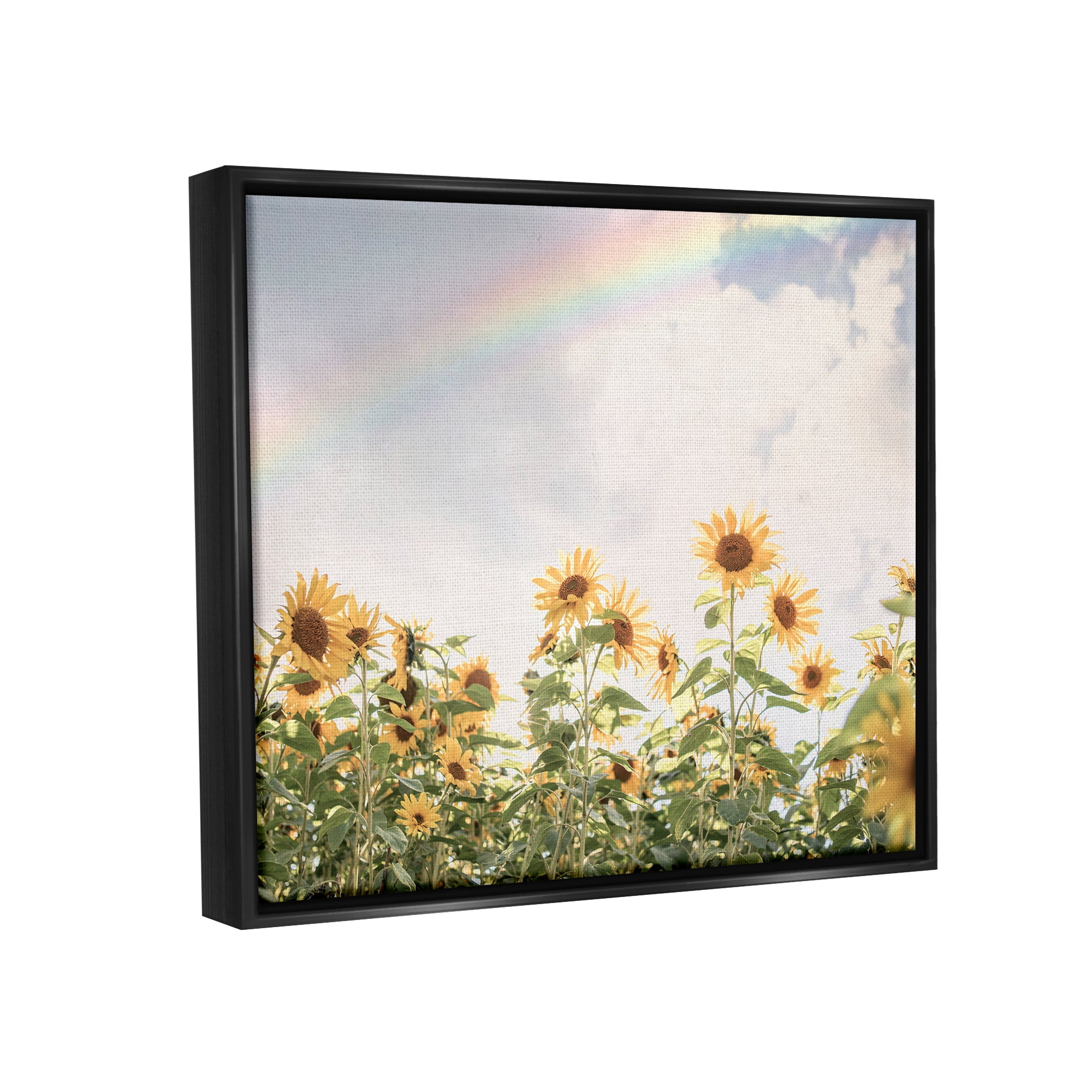 Stupell Industries Rainbow over Sunflowers Botanical & Floral Photography Black Floater Framed Art Print Wall Art, 31 x 25