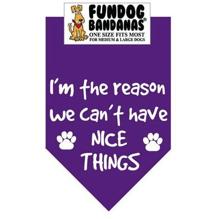 Scarf Dog Clothing - Fun Dog Bandana - I'm the Reason we Can't Have Nice Things - One Size Fits Most for Med to Lg Dogs, purple pet scarf