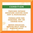 thumbnail image 3 of Cantu Leave-In Conditioning Repair Cream with Shea Butter, 16 oz (Pack of 2) (Packaging May Vary), 3 of 3