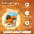 thumbnail image 4 of California Poppy Flower Seeds, 20,000 Native Wildflower Seeds, California State Flower - Created By Nature, 4 of 6