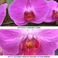 thumbnail image 2 of Lente gran angular Altura Photo 52 mm 0.43x con macro Nikon D7100, 2 of 3
