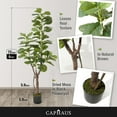 thumbnail image 2 of CAPHAUS Artificial Fiddle Leaf Fig Tree, 6 / 7 Feet in Pot with Dried Moss, for Indoor House Home Office Store, Potted Ficus Lyrata Faux Tree, Fake Plant Modern Decoration Gift for Housewarming, 2 of 9