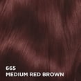 thumbnail image 2 of L'Oréal Paris Superior Preference, Permanent Hair Dye, 2 of 9