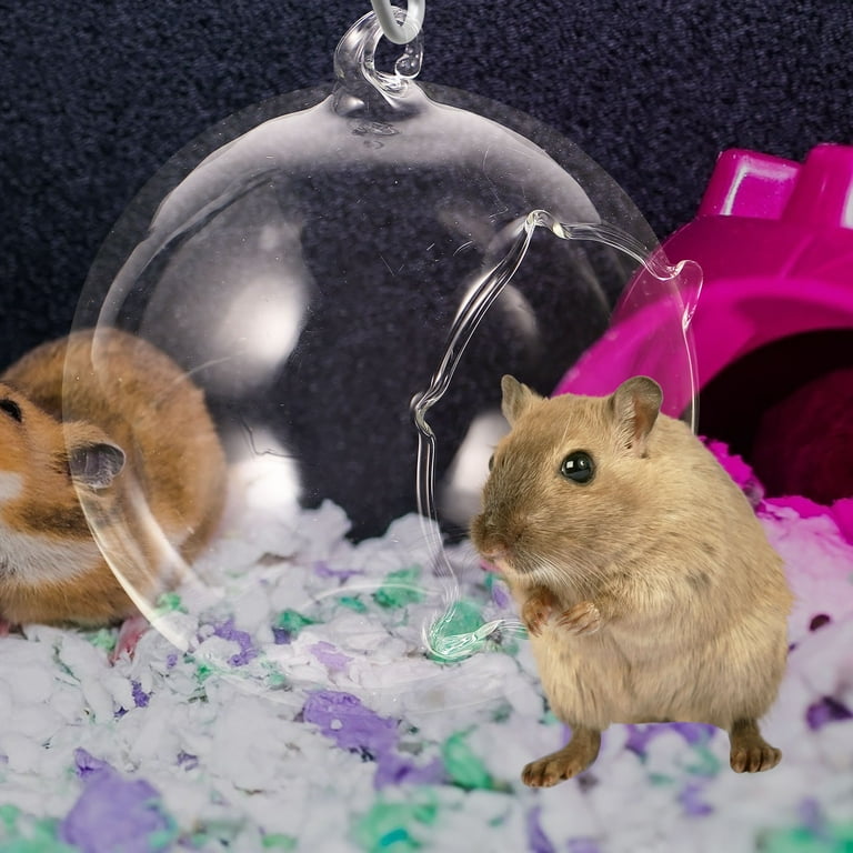 Hamster cage cool hotsell