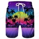 thumbnail image 1 of Pantalones cortos de natación para hombre, Shorts de playa para tabla de surf 3d de Coconut Tree, ropa deportiva para niño Fivean unisex, 1 of 2