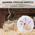 thumbnail image 4 of Gymnture Hamster Wheel Exerciserunning Toys Squirrelflying Saucer Cagegerbil Playing Accessories, 4 of 10