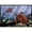 Black, variant on Carolines Treasures PTW2042JMAT Sea Turtles Door Mat Indoor Rug or Outdoor Welcome Mat 24x36 Doormat 36"L x 24"W
