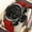 red, variant on Military Watch for Men, Waterproof Digital Sport Watch with Alarm, Backlight, Large Display, Chronograph Stopwatch