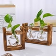 thumbnail image 6 of Dserhfy Plants Propagation Station with Wooden Stand Indoor Plant Terrarium Hydroponic Flower Holder Container Decoration Table Centerpiece, 6 of 7